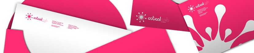 Criticalweb